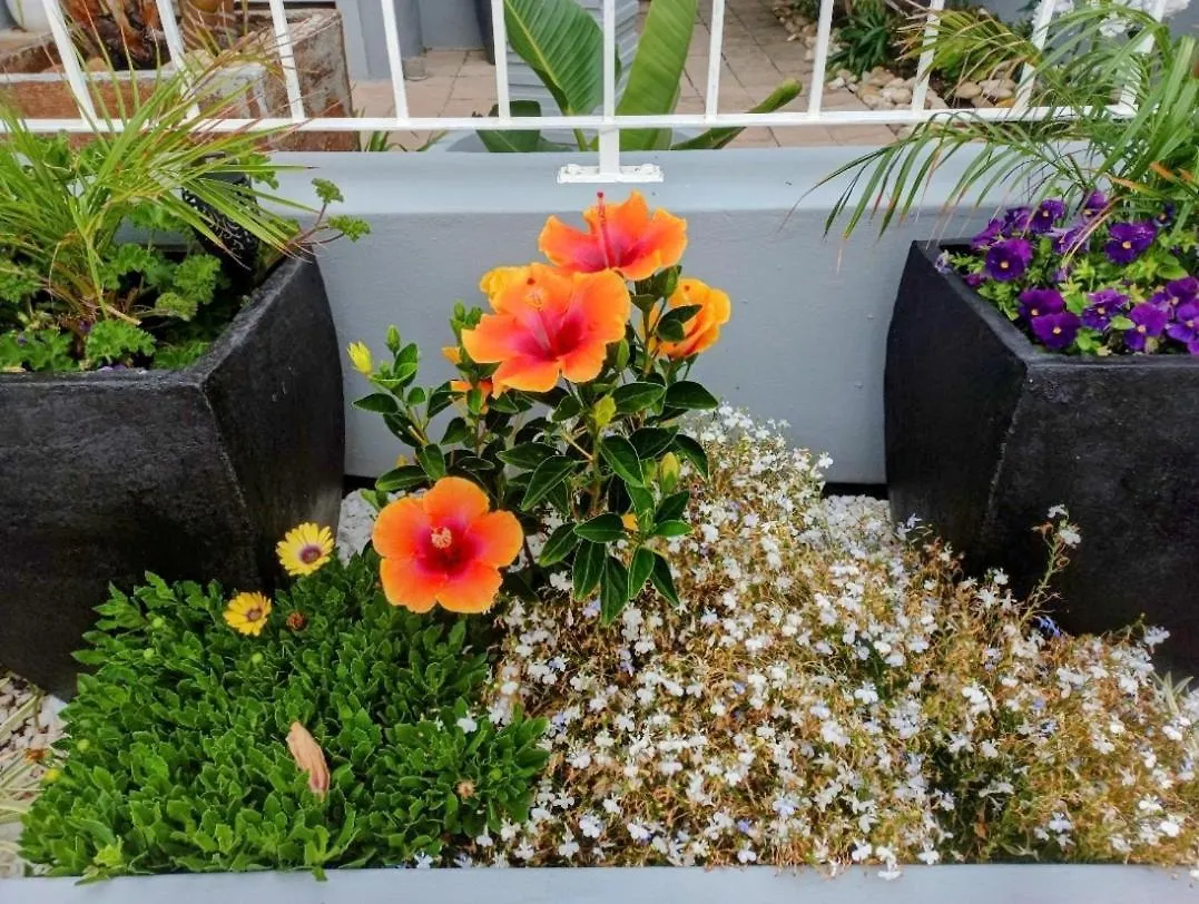 The Sandcastle Guesthouse - Melkbosstrand 3*,